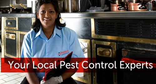 Presto-X Pest Control 4102 NW Riverside St, Riverside Missouri 64150