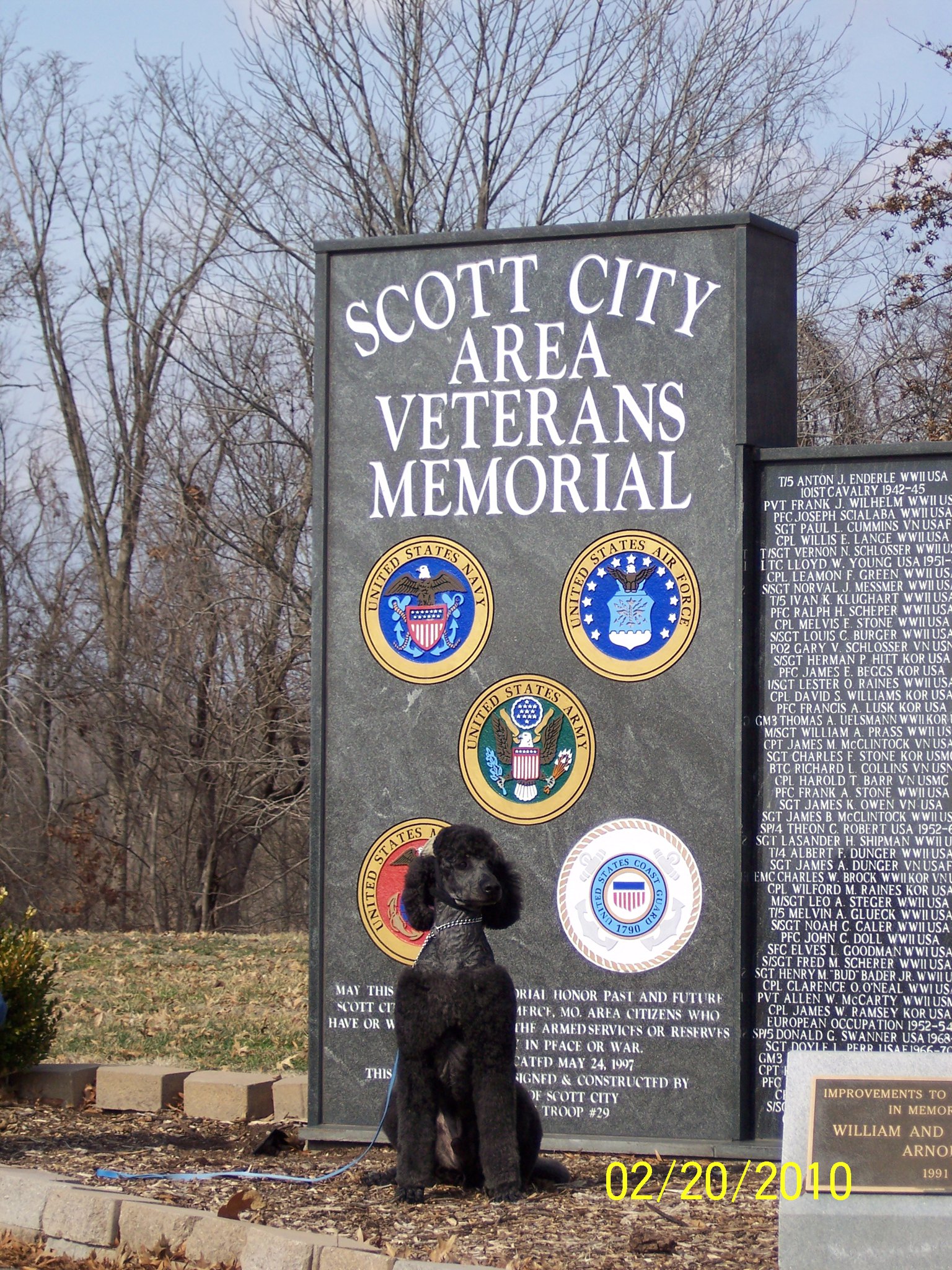 Teresa's Tenderheart Pet Groom Scott City