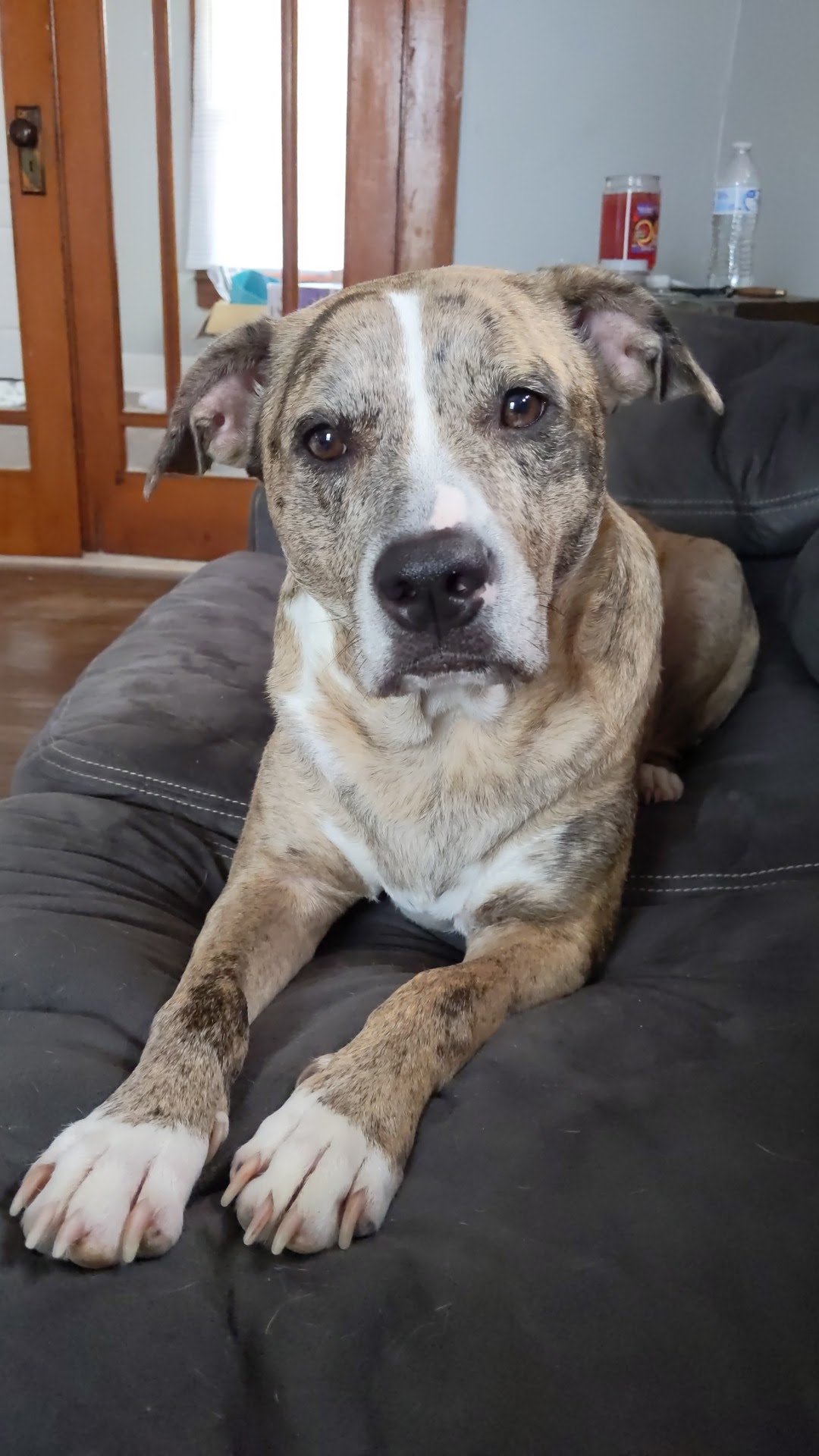 Northside Feed & Farm Supply Warrensburg