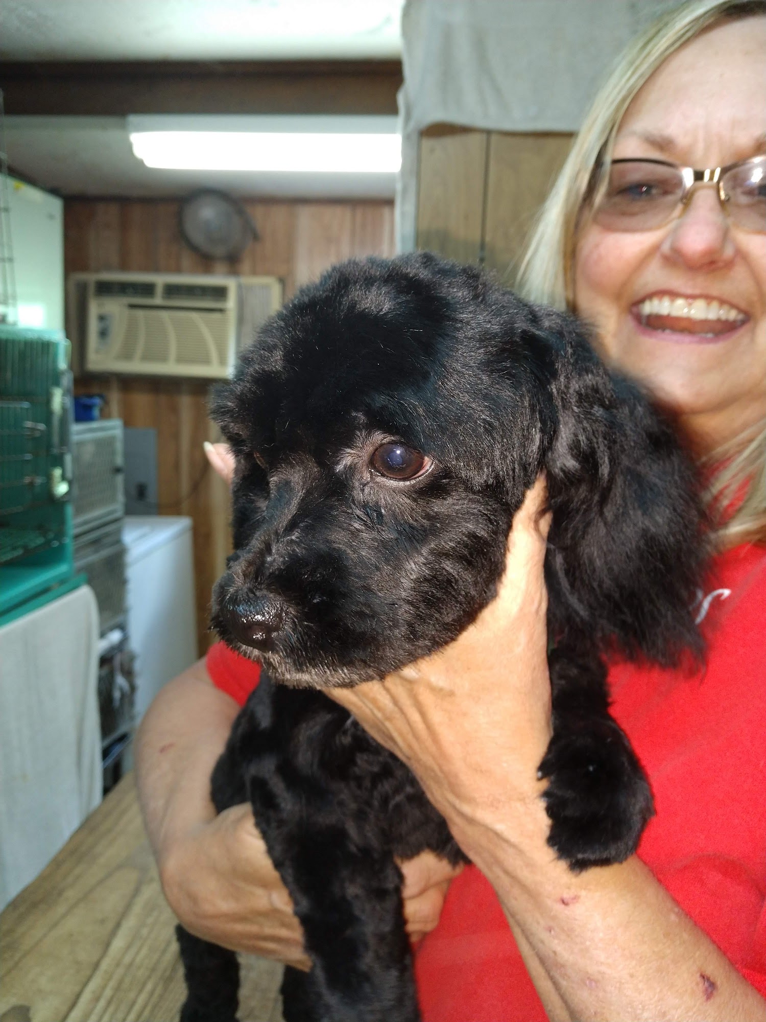 Watkins Pets & Grooming Batesville