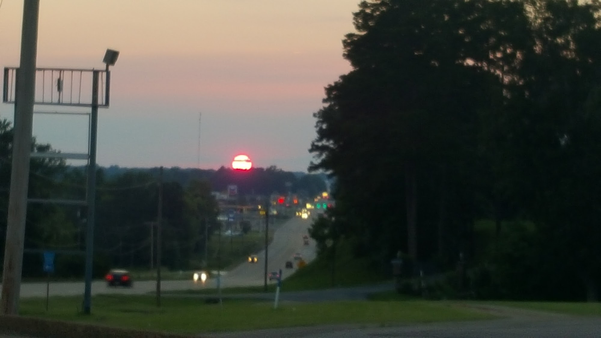 Pampered Pet Care LLC Corinth