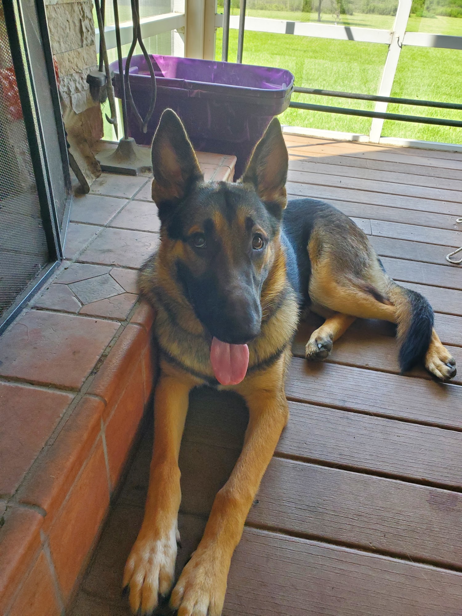 Ryan's Training Center Poplarville