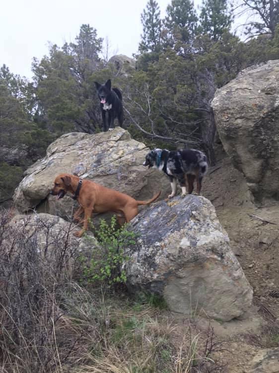 Photo credit: nextdoor