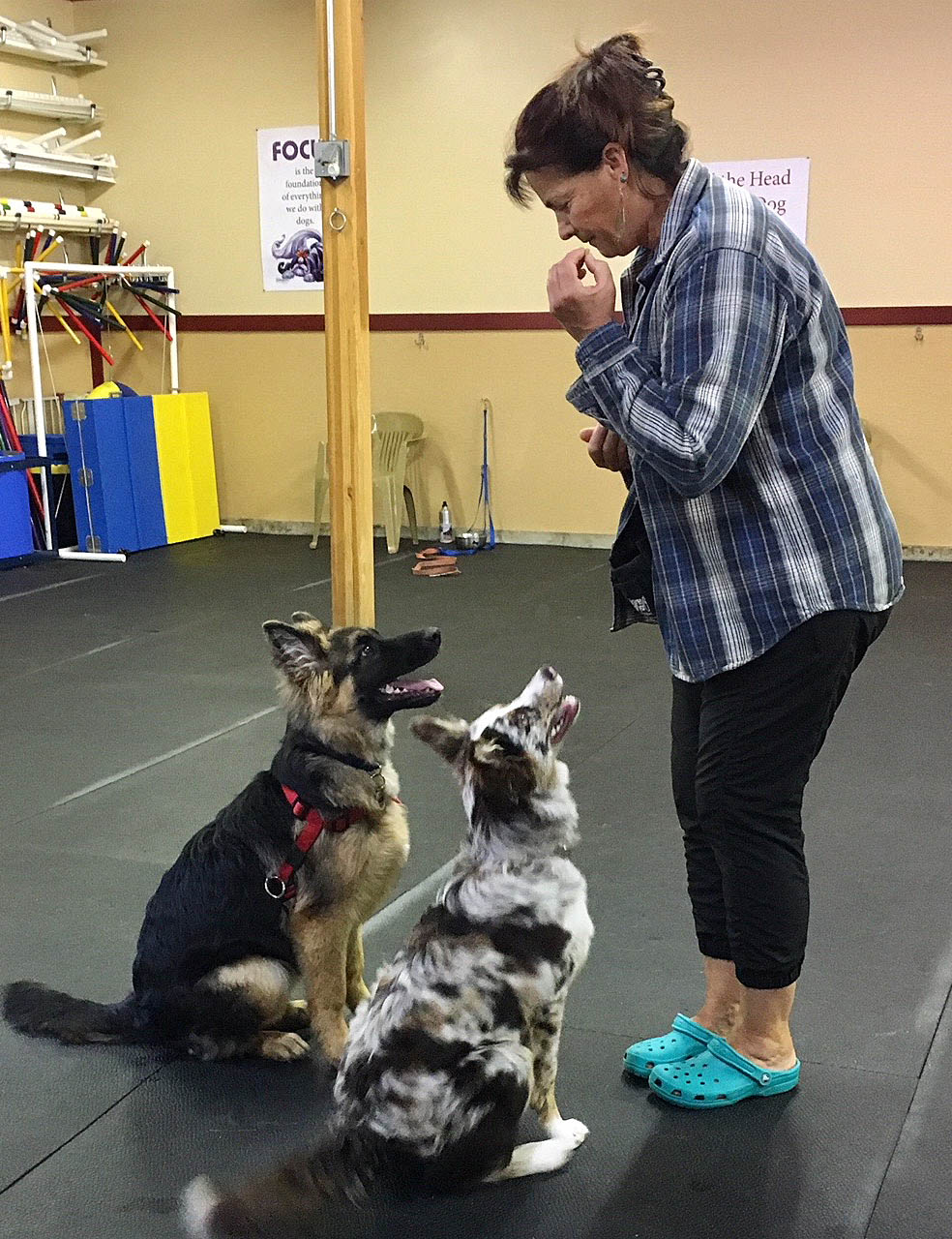 Anything's PAWSable Dog Training, Debi Buchholz, trainer Kalispell