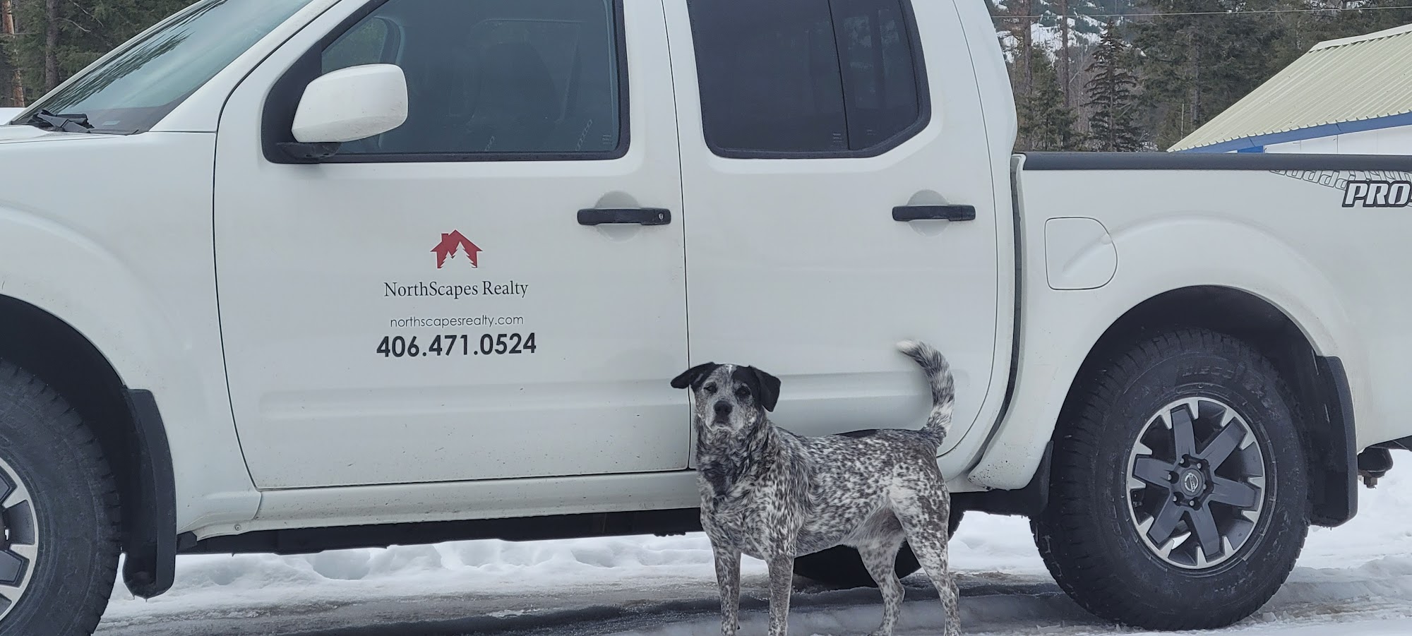 NorthScapes Realty Kalispell