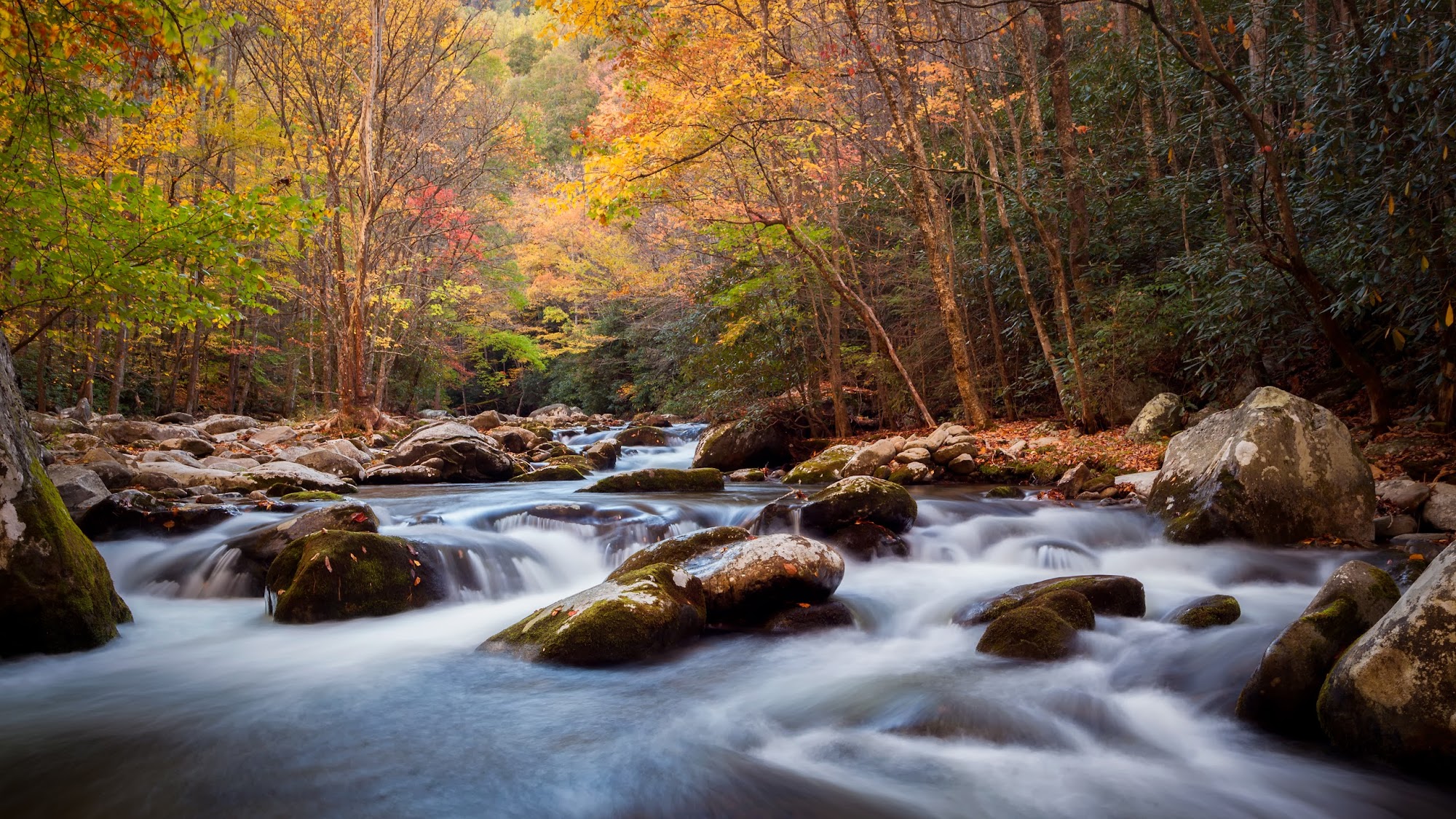 Old Town Brokers Andrews