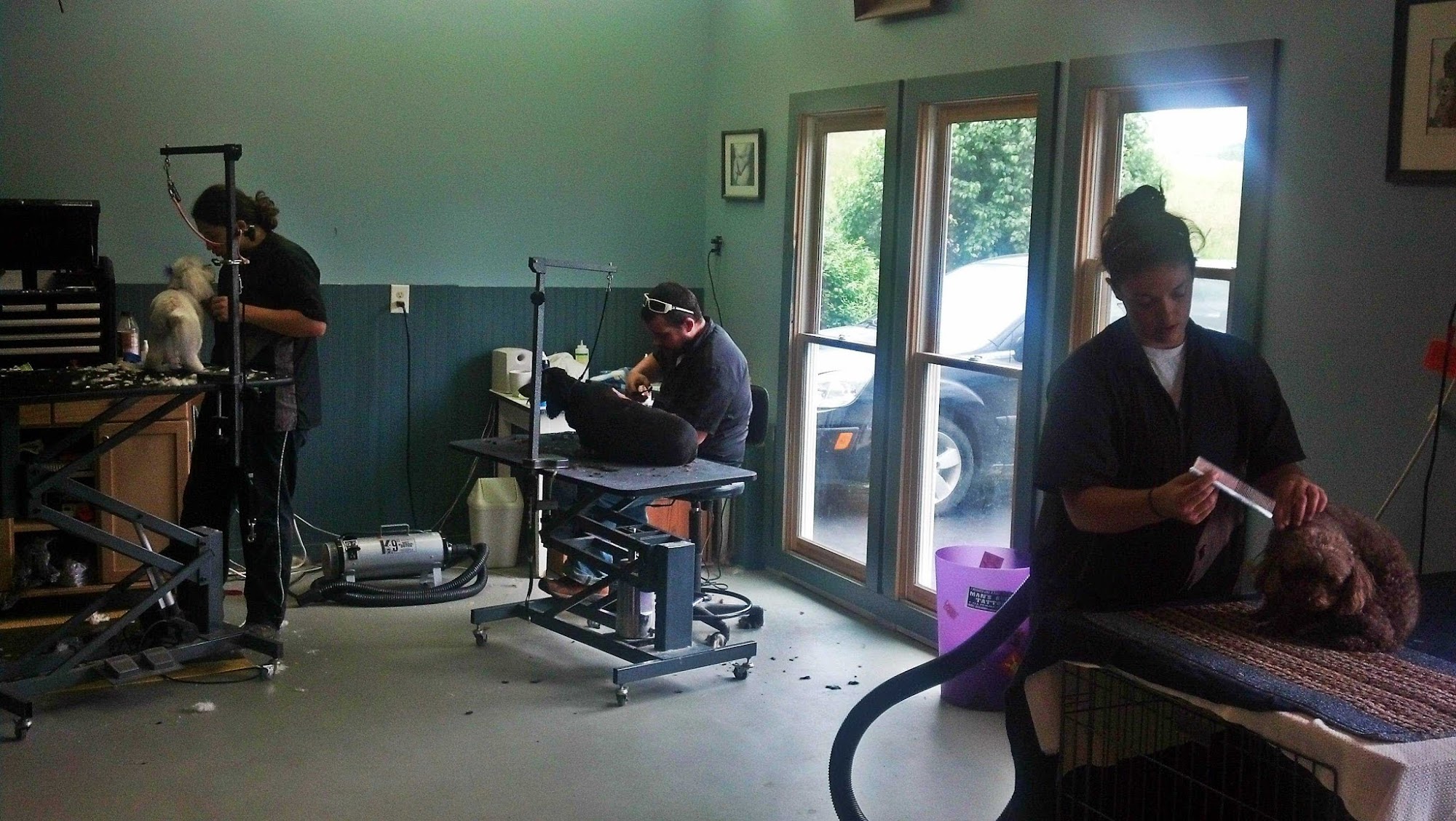 Fit & Trim Pet Services Burnsville