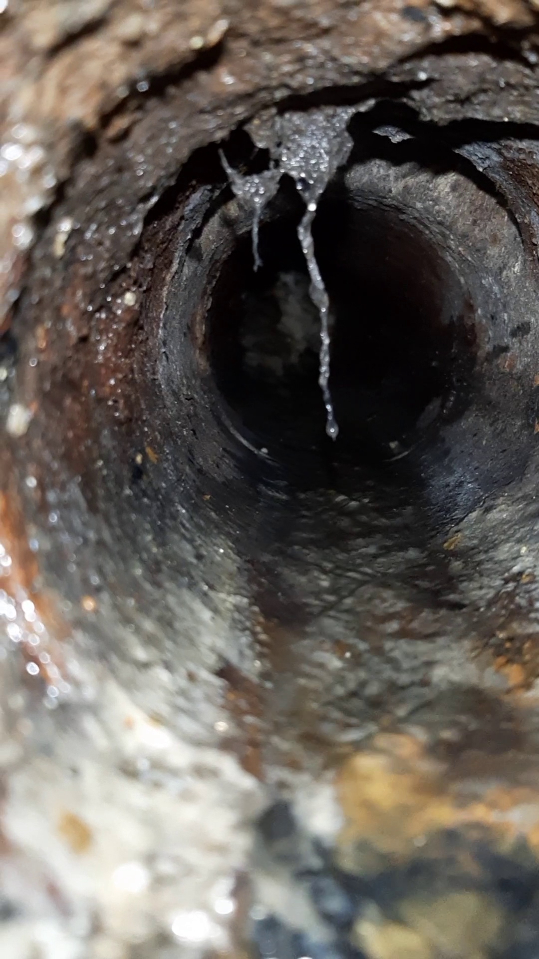 York Sewer and Drain Cleaning 81 Lindsey Ln, Burnsville North Carolina 28714