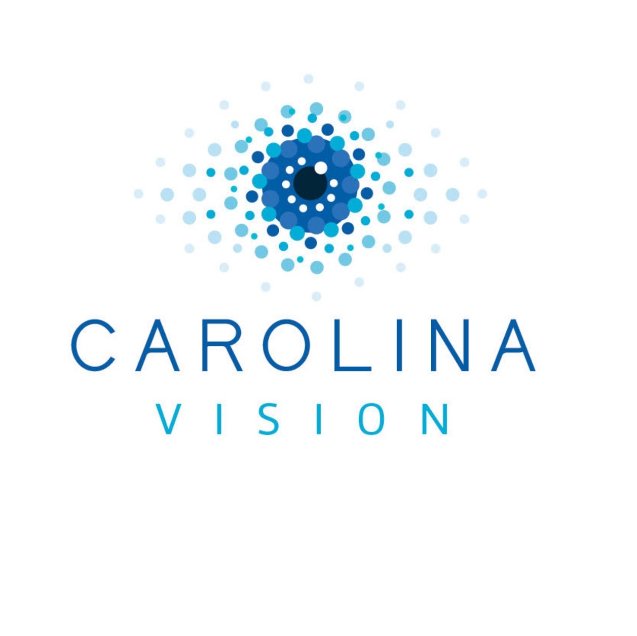 Carolina Vision 1431 Smokey Park Hwy, Candler North Carolina 28715