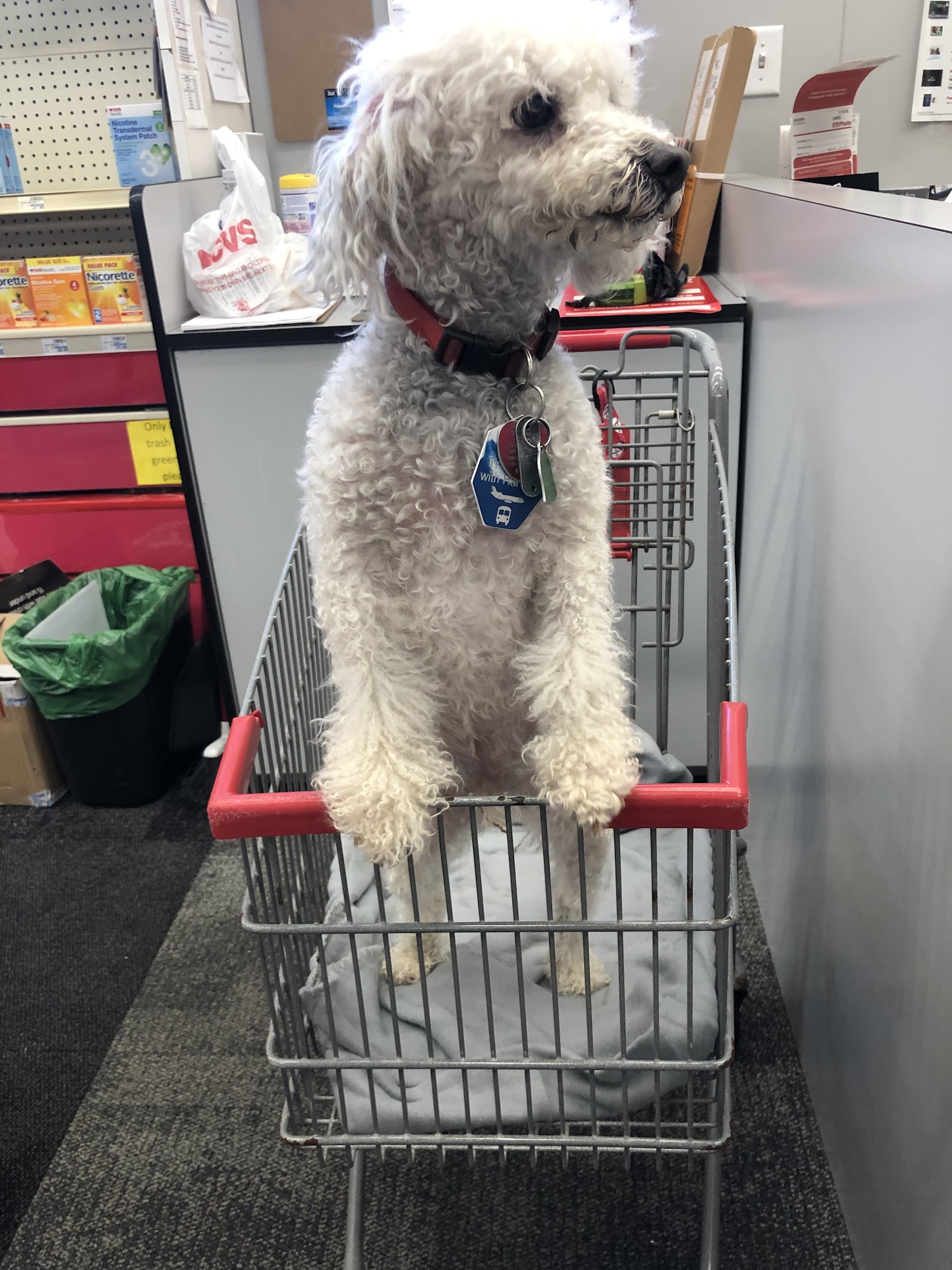 Moore County Sheriff's Office Animal Services Carthage