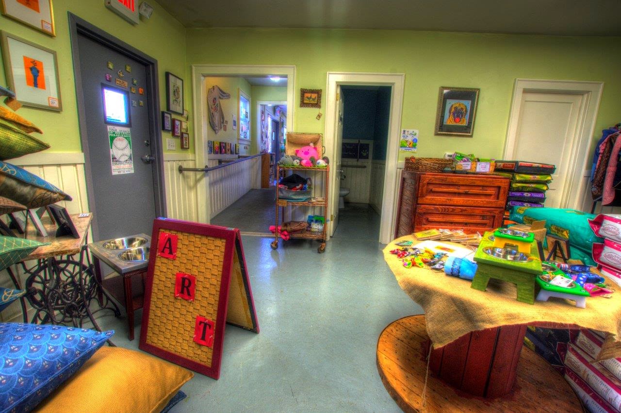 Four Dogs Pet Supplies Charlotte