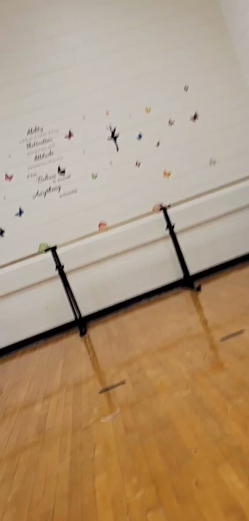 KASE Havanese Charlotte