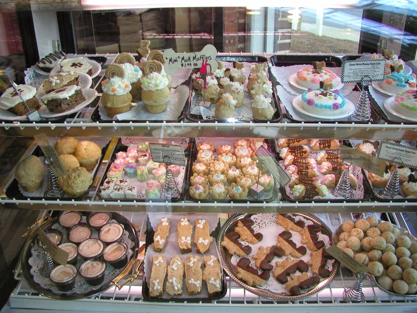 Canine Cafe Charlotte Charlotte