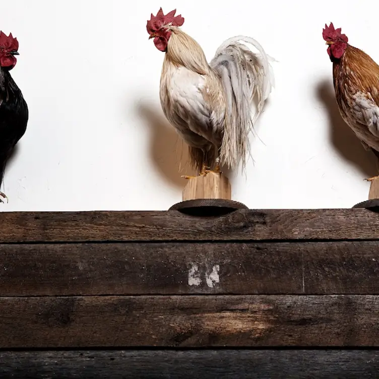 Photo credit: opentable