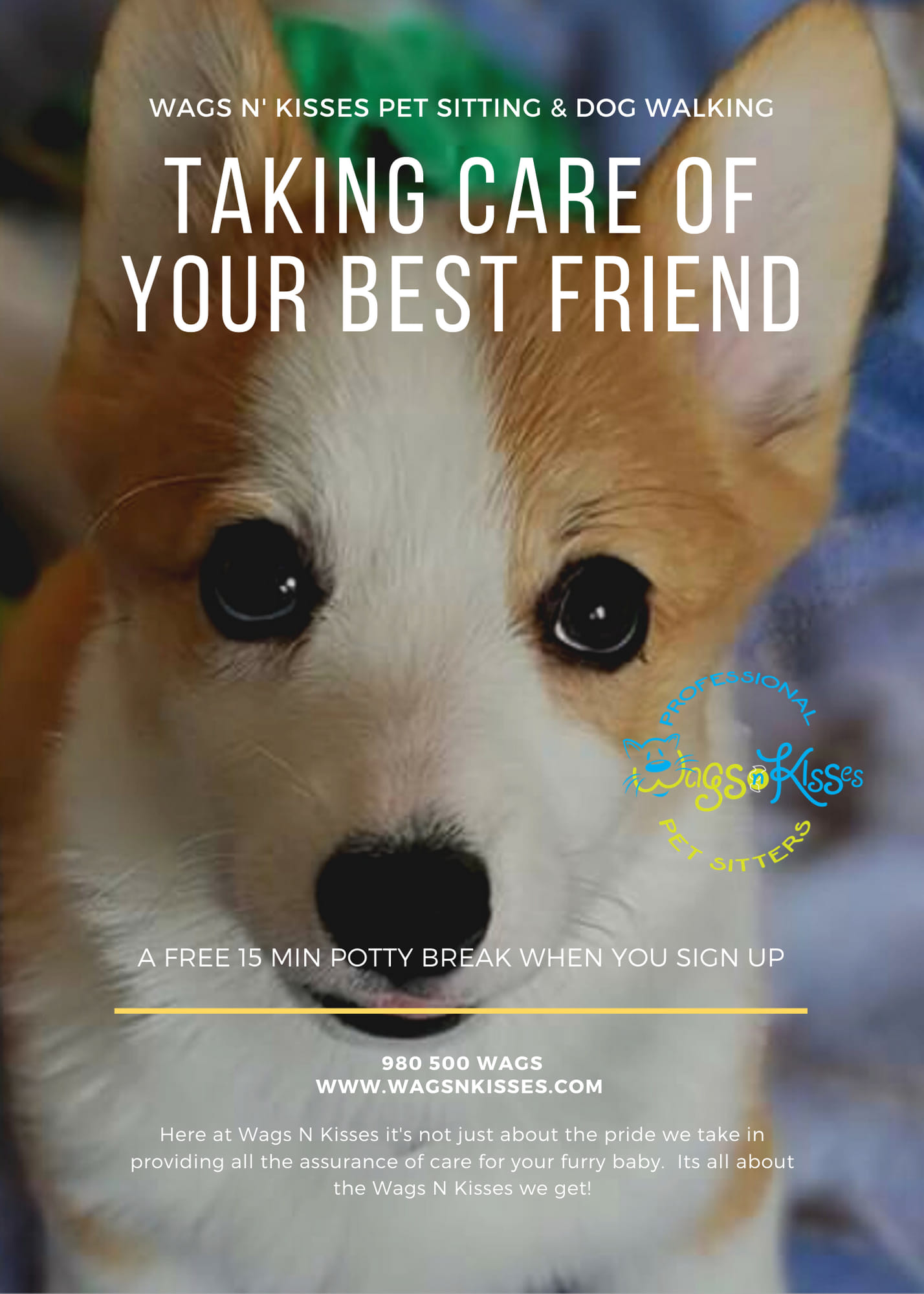 Wags N' Kisses Pet Sitting & Dog Walking Charlotte