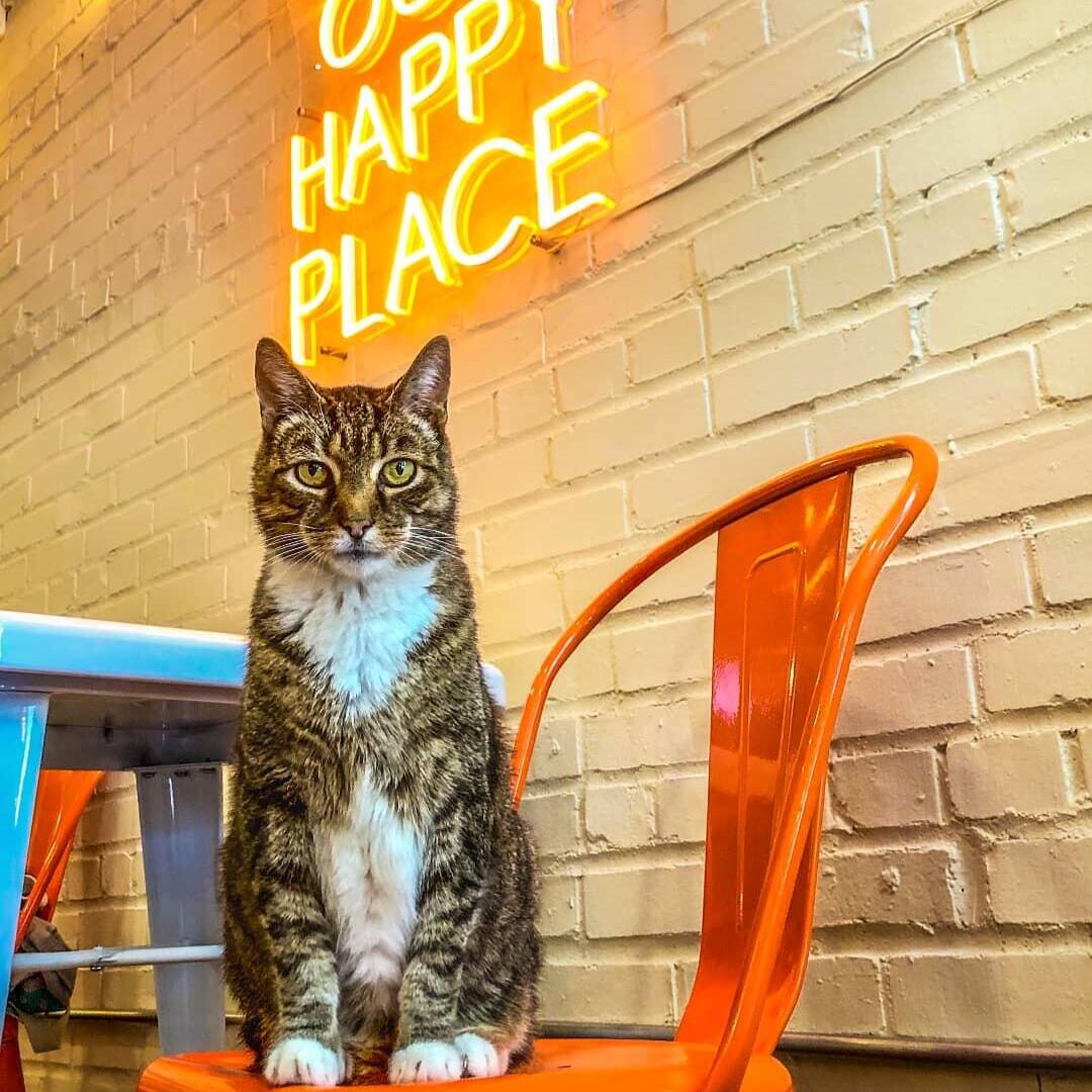 Photo credit: nextdoor