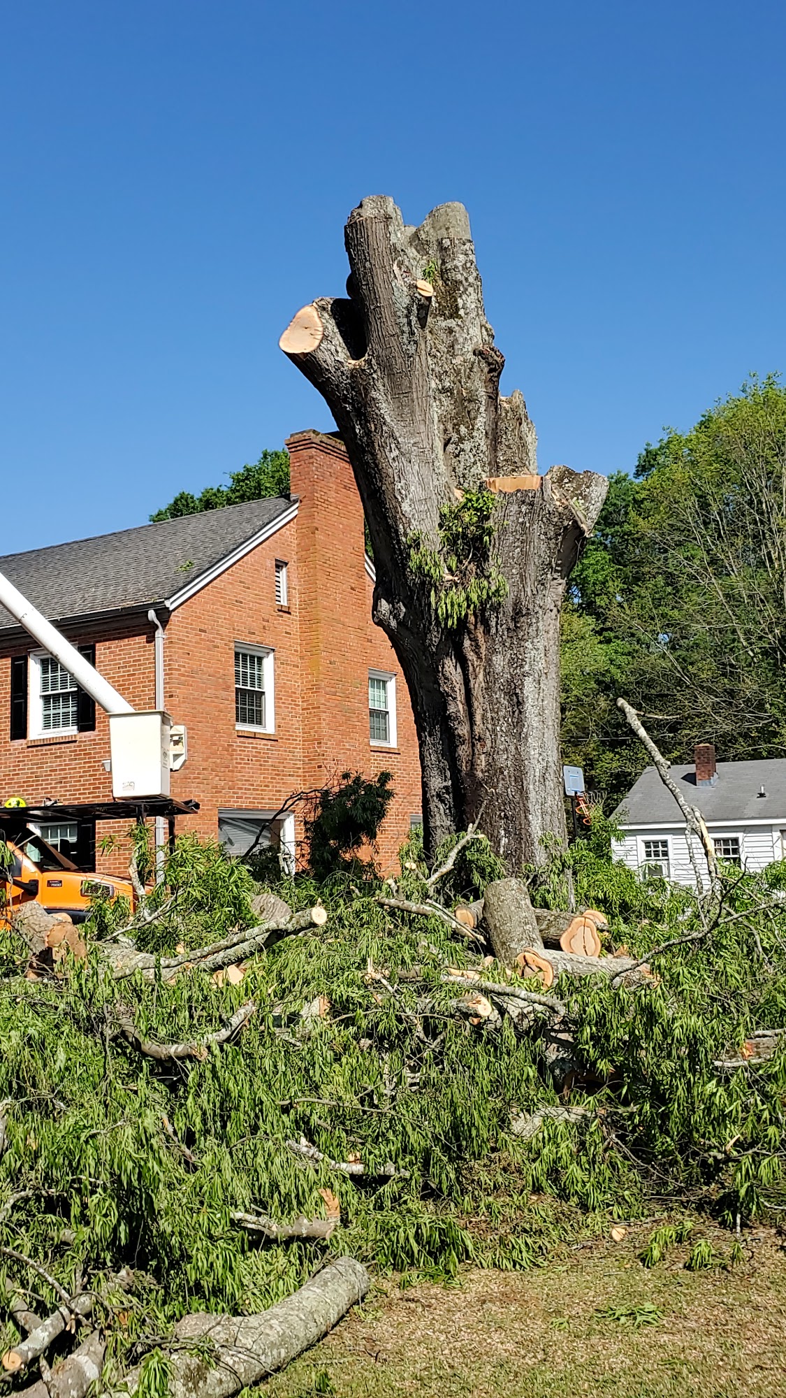 Med's Tree Removal & Landscaping 114 1st St, Erwin North Carolina 28339