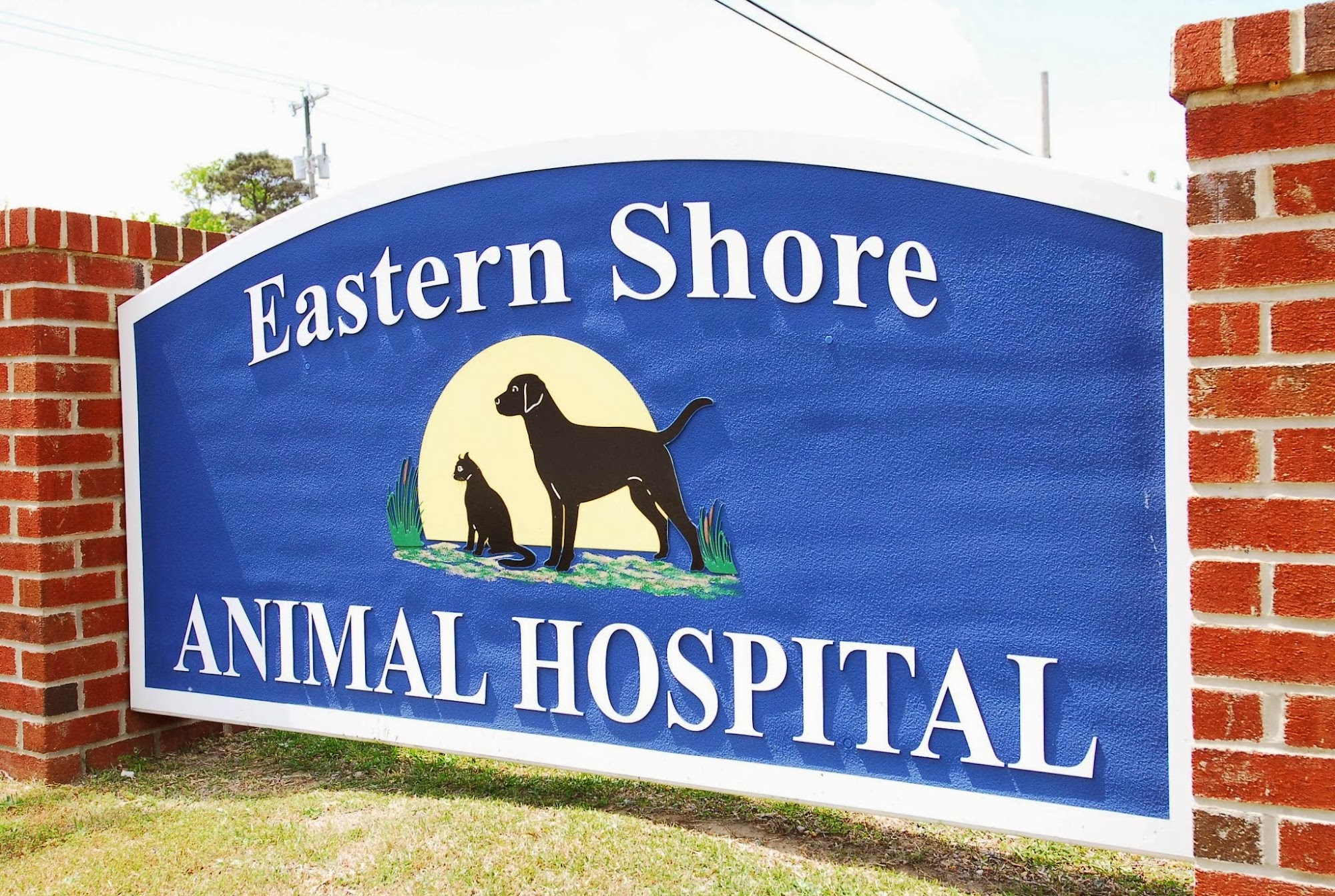 Dr. Ron Cronogue Grandy