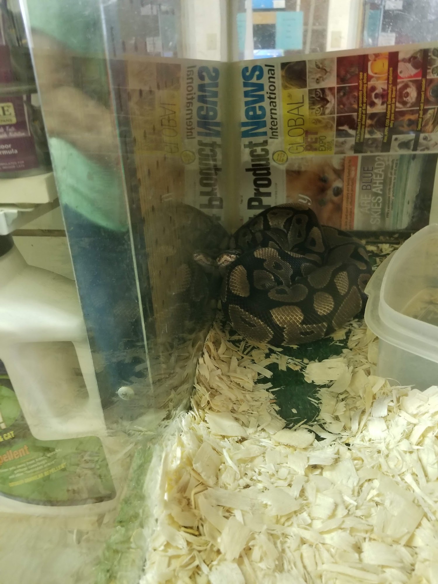 River Valley Pets Granite Falls