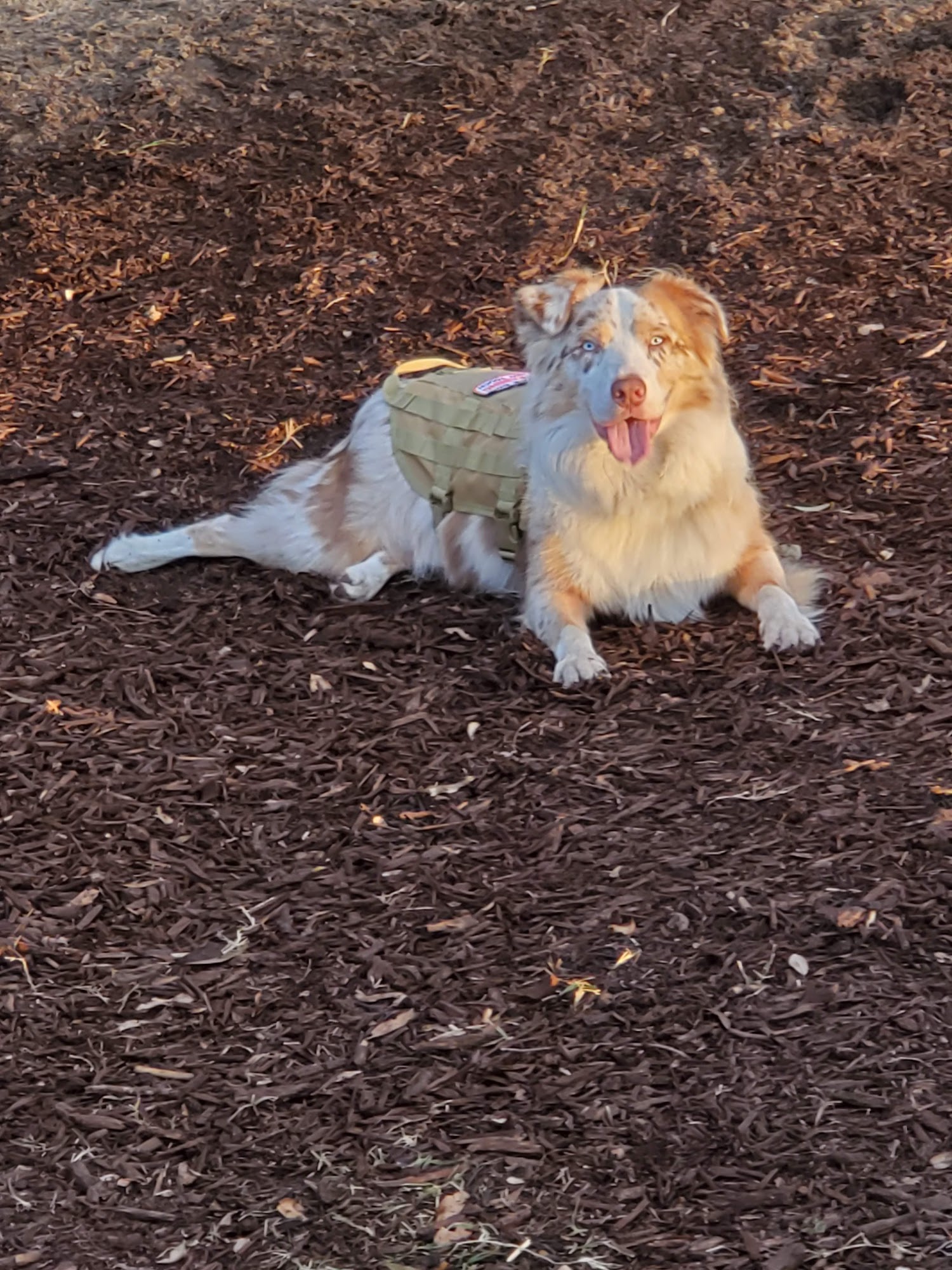 Magnolia's Bed & Biscuit Leland