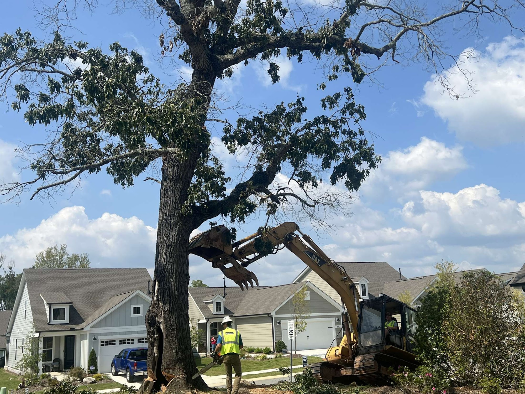 Stocks Clearing and Grading 2585 Sheriff Johnson Rd, Lillington North Carolina 27546