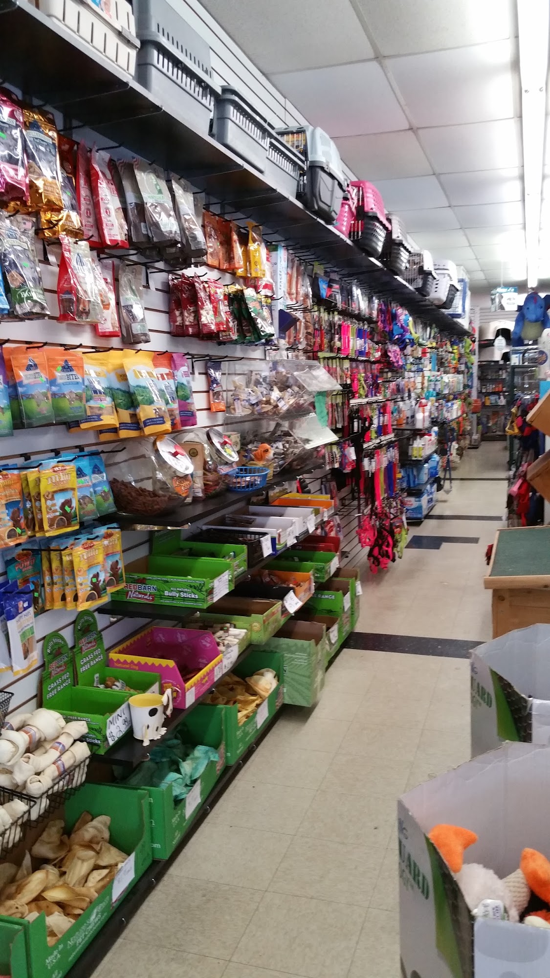 Carrolls Pets and Grooming Lumberton