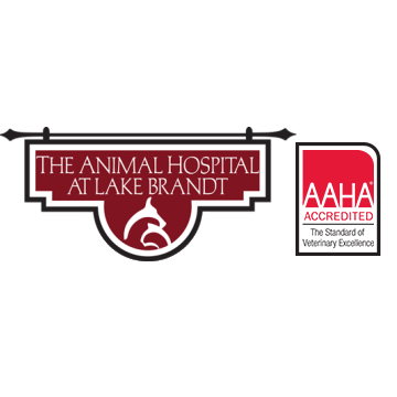 The Animal Hospital At Lake Brandt 1012 NC Hwy 150 W, 1012 NC-150, Summerfield North Carolina 27358