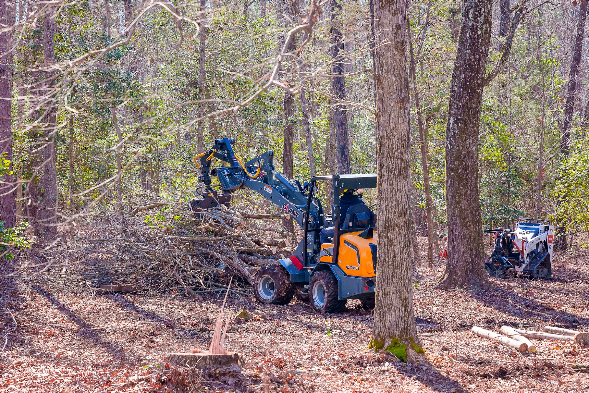 Dave's Tree Service, LLC 530 Wits End Trail, Vass North Carolina 28394