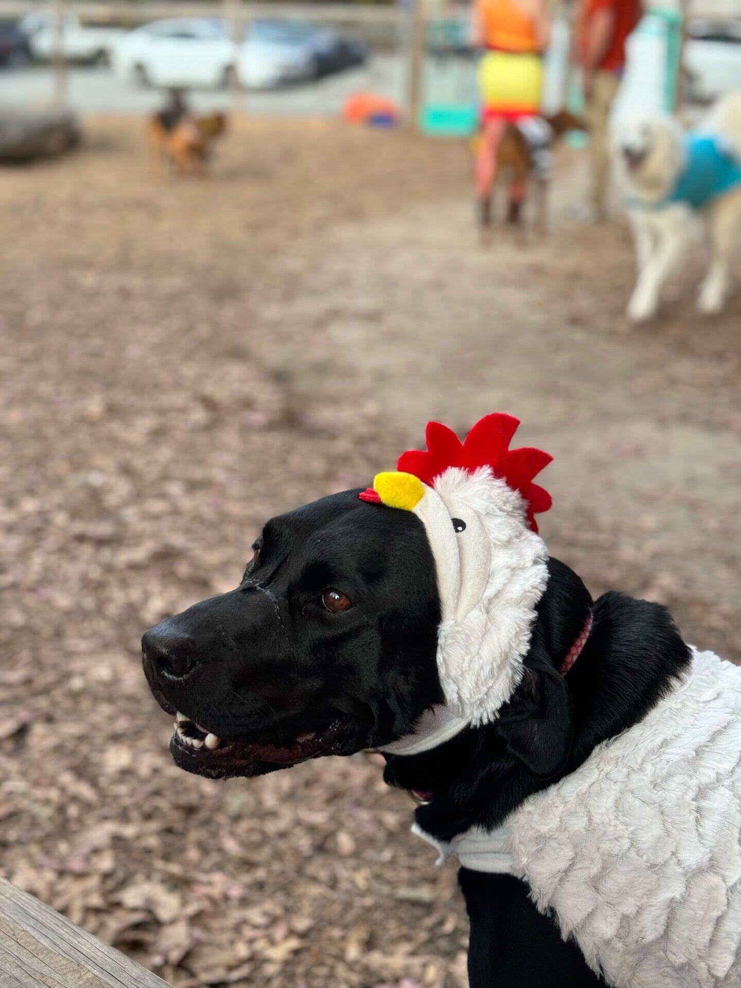 Photo credit: nextdoor
