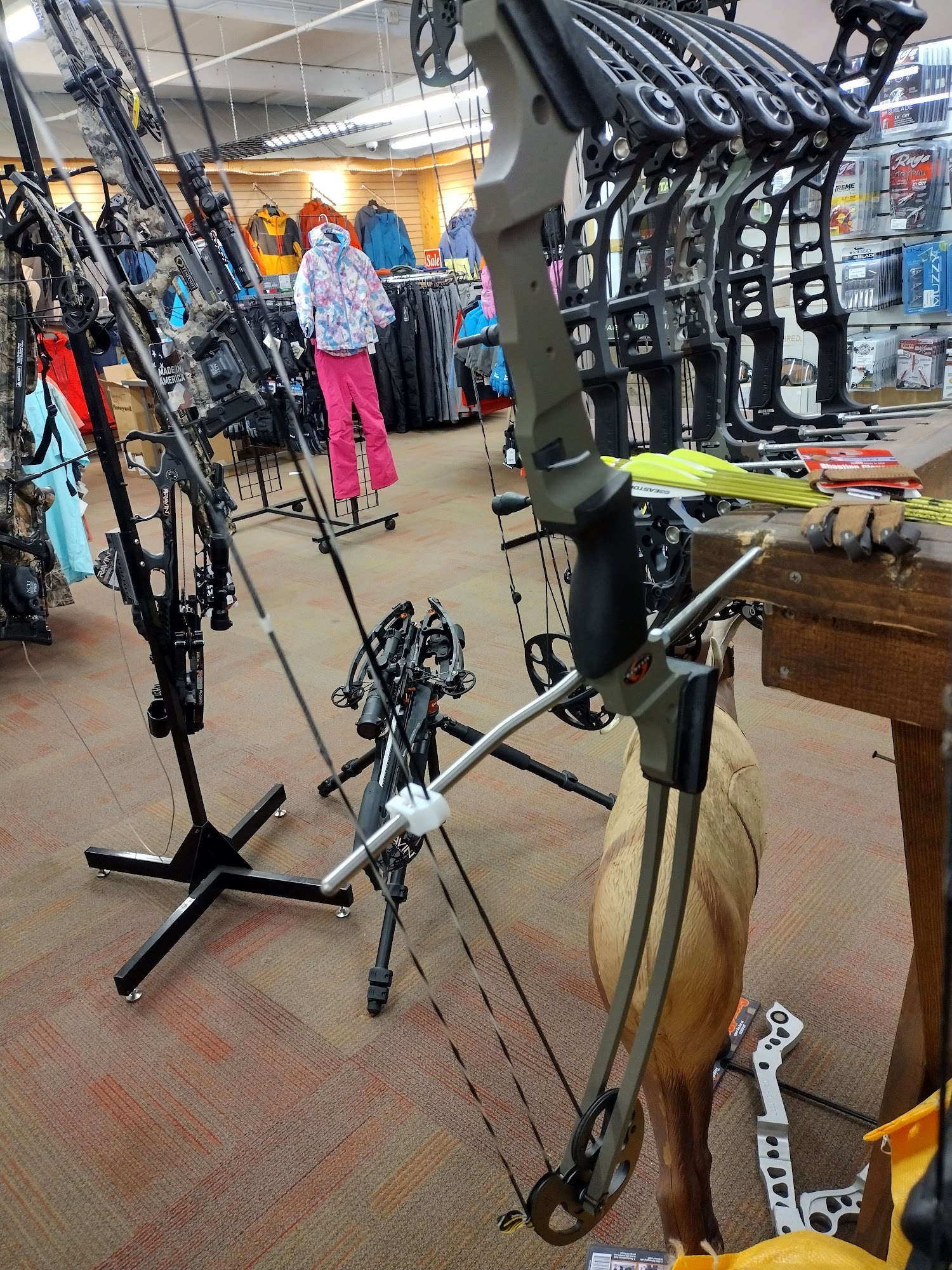 CANADY'S SPORT CENTER - Wilmington NC - Hours, Directions, Reviews ...