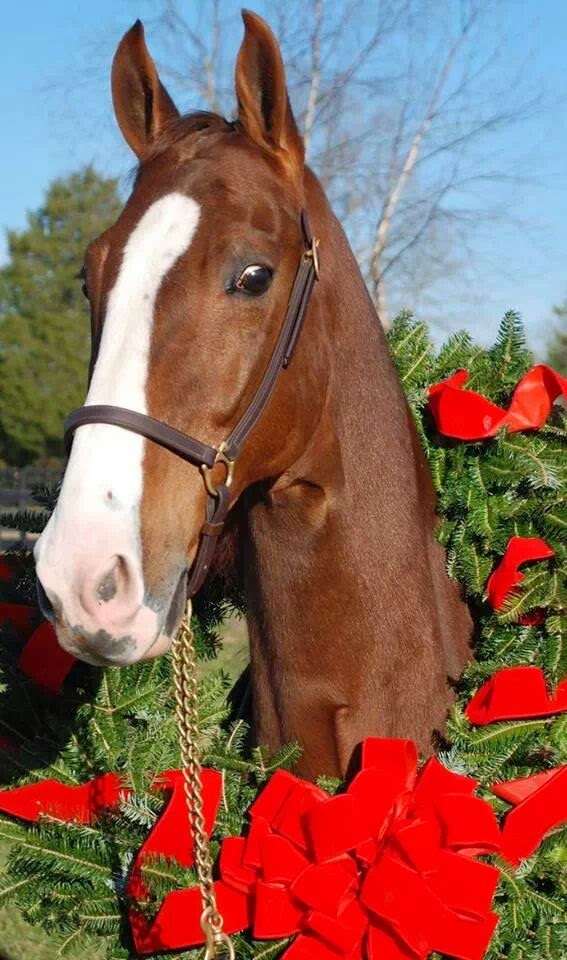 American Hemp LLC Winston-Salem