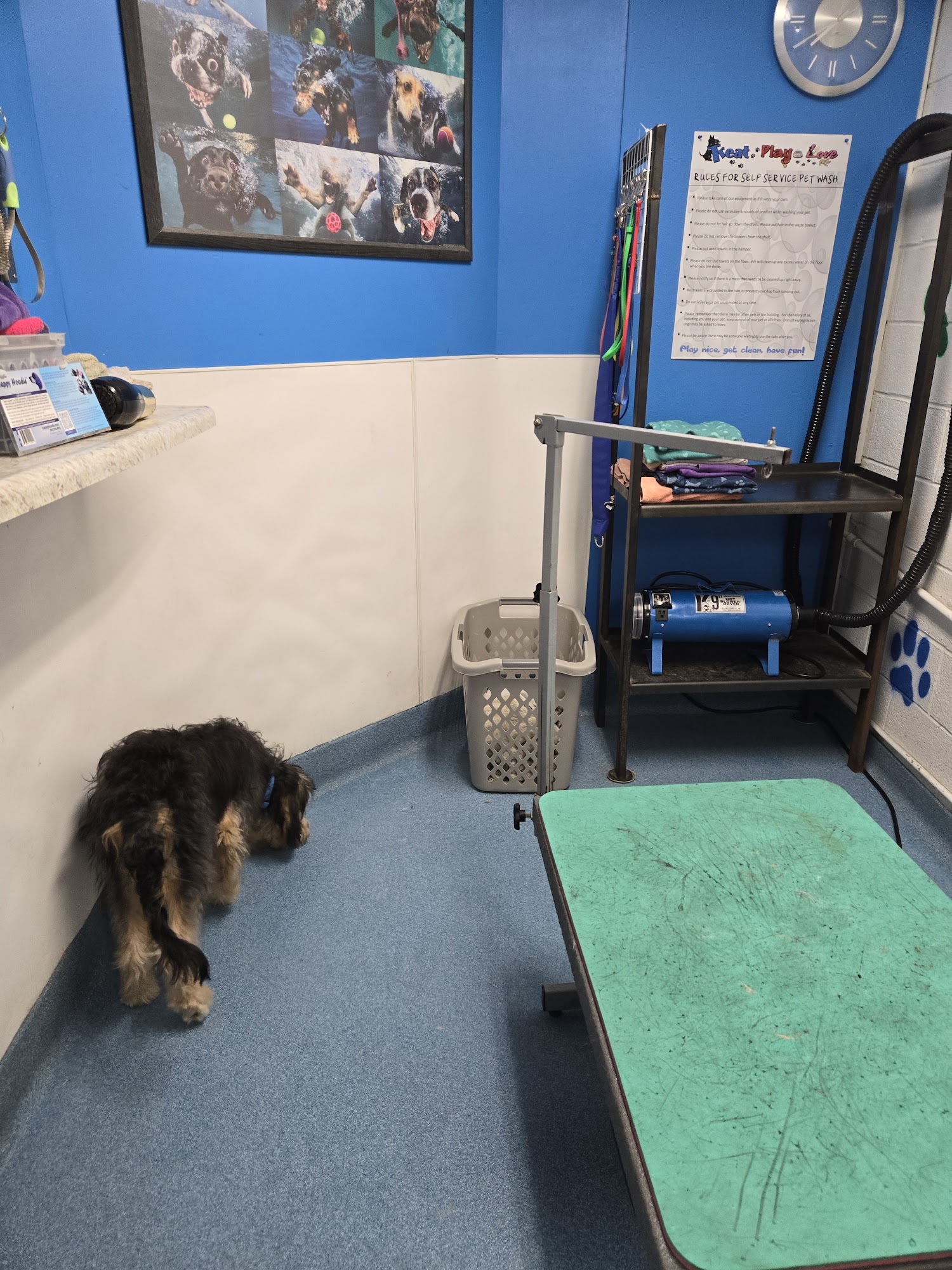 Treat Play Love Grand Forks