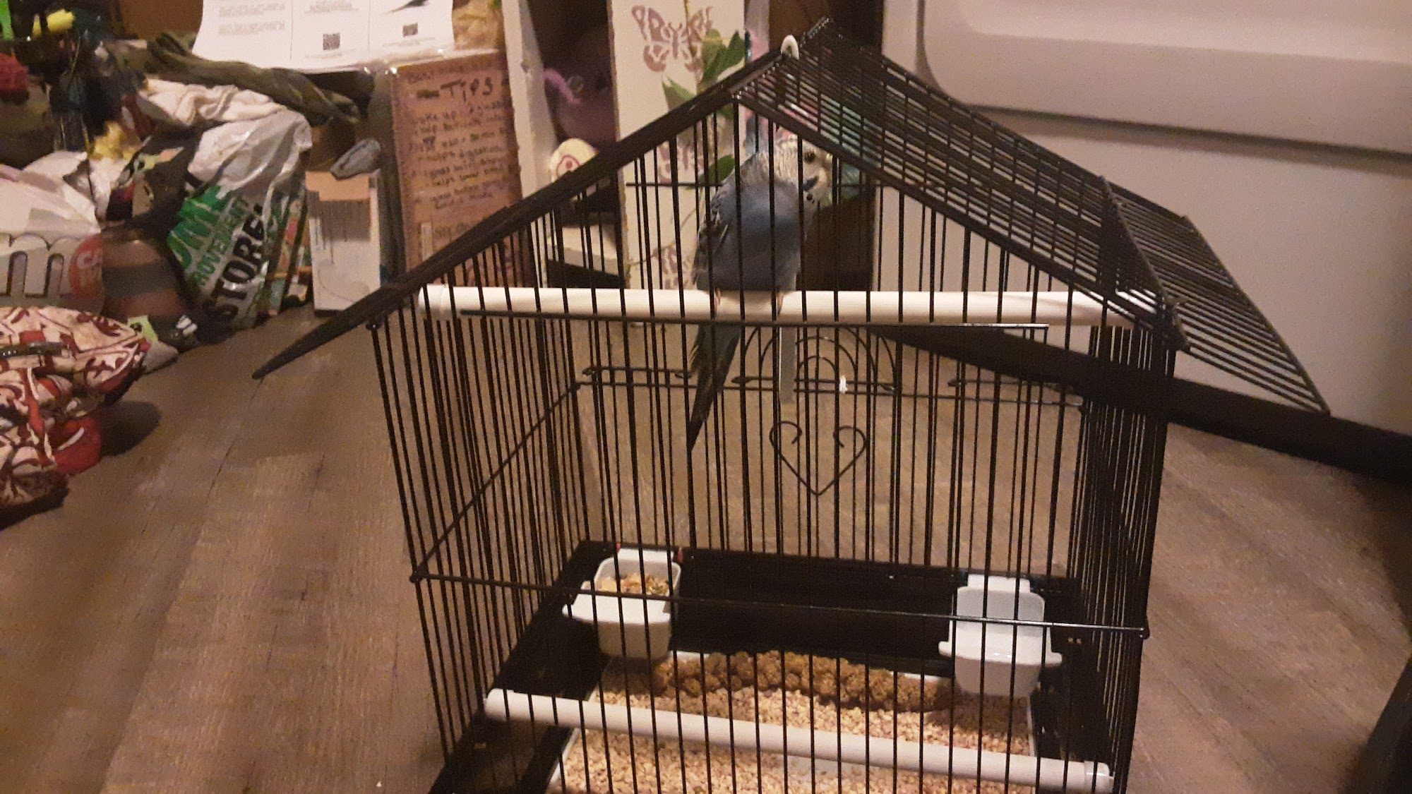 R & J's World of Pets Minot