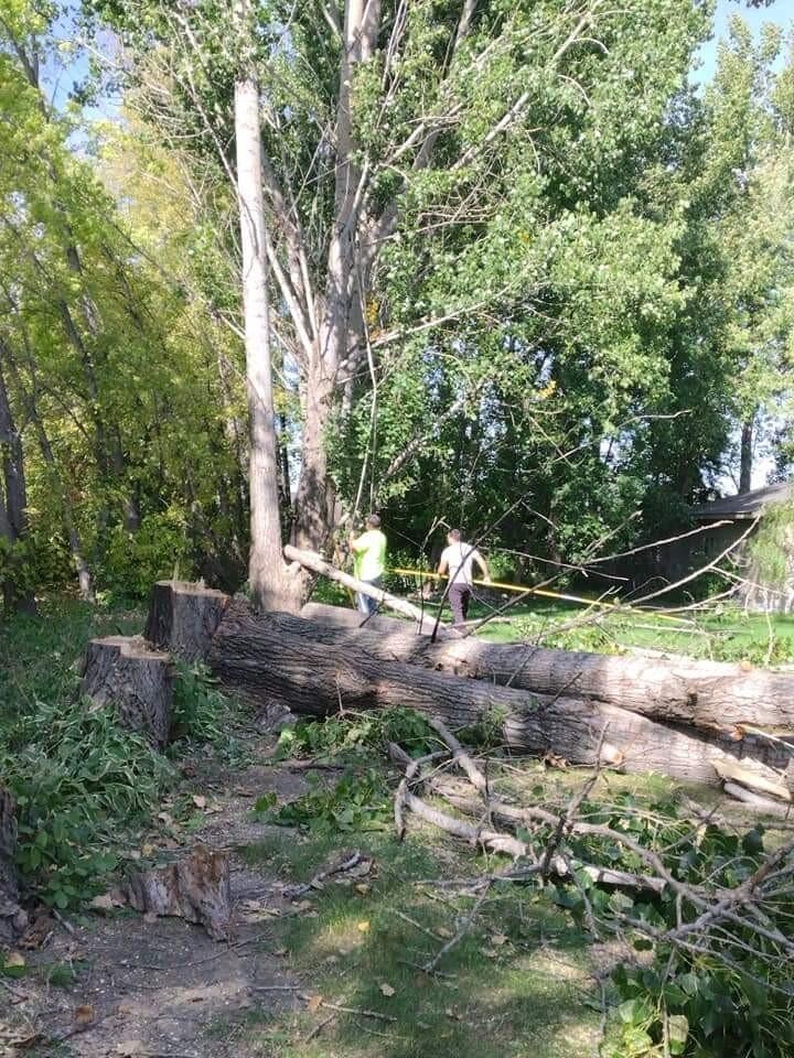 Photo credit: nextdoor