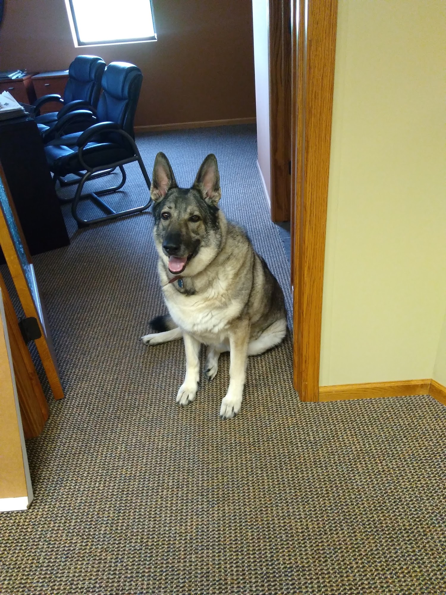 Heartland Veterinary Supply Hastings