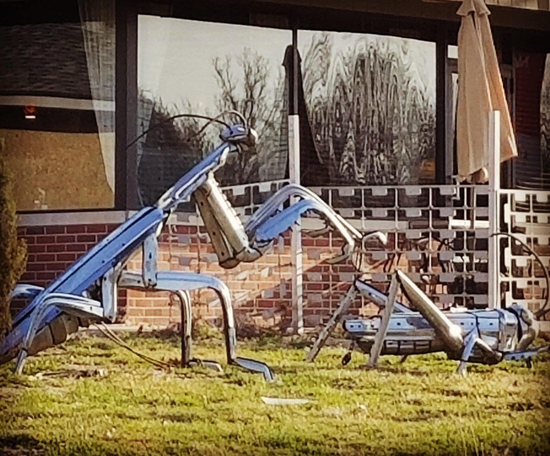 Photo credit: nextdoor