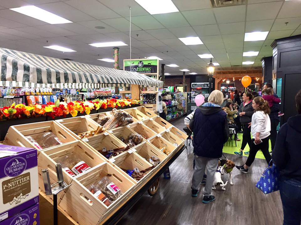 Friendly Pets Exeter