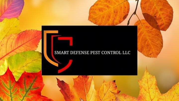 Smart Defense Pest Control Cobbetts Pond Rd, Windham New Hampshire 03087