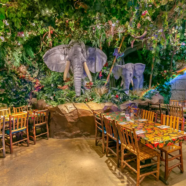 Photo credit: opentable