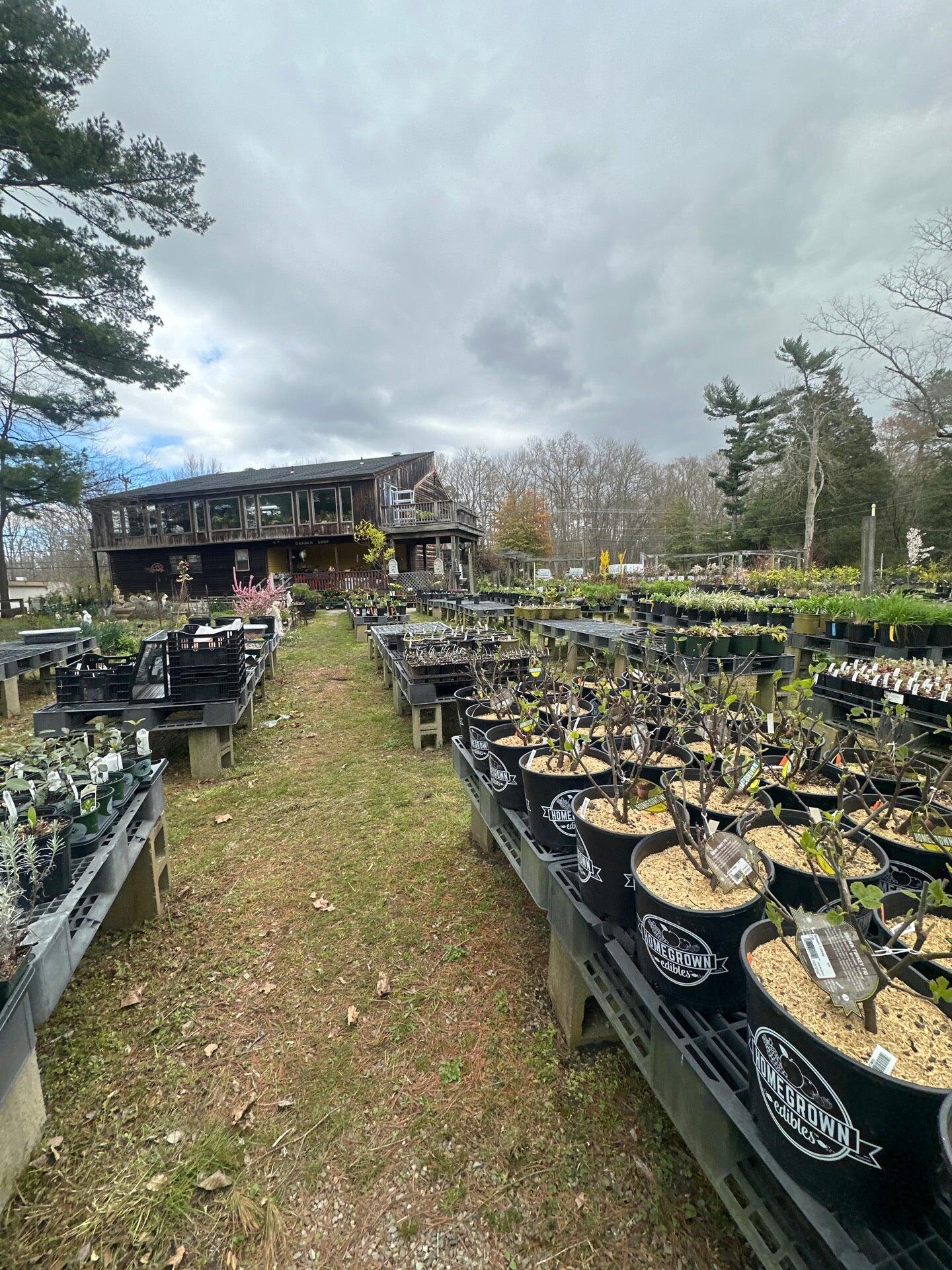 Triple Oaks Nursery & Herb Garden 2359 Delsea Dr, Franklinville New Jersey 08322