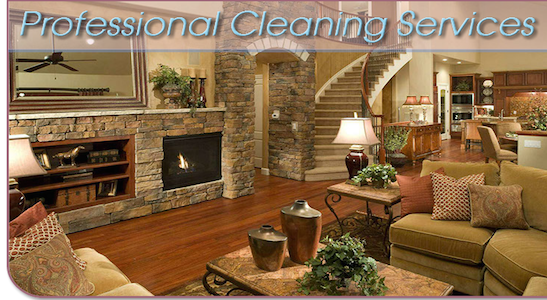 Ana's Cleaning Service 90 Forge Hill Rd, Glen Gardner New Jersey 08826