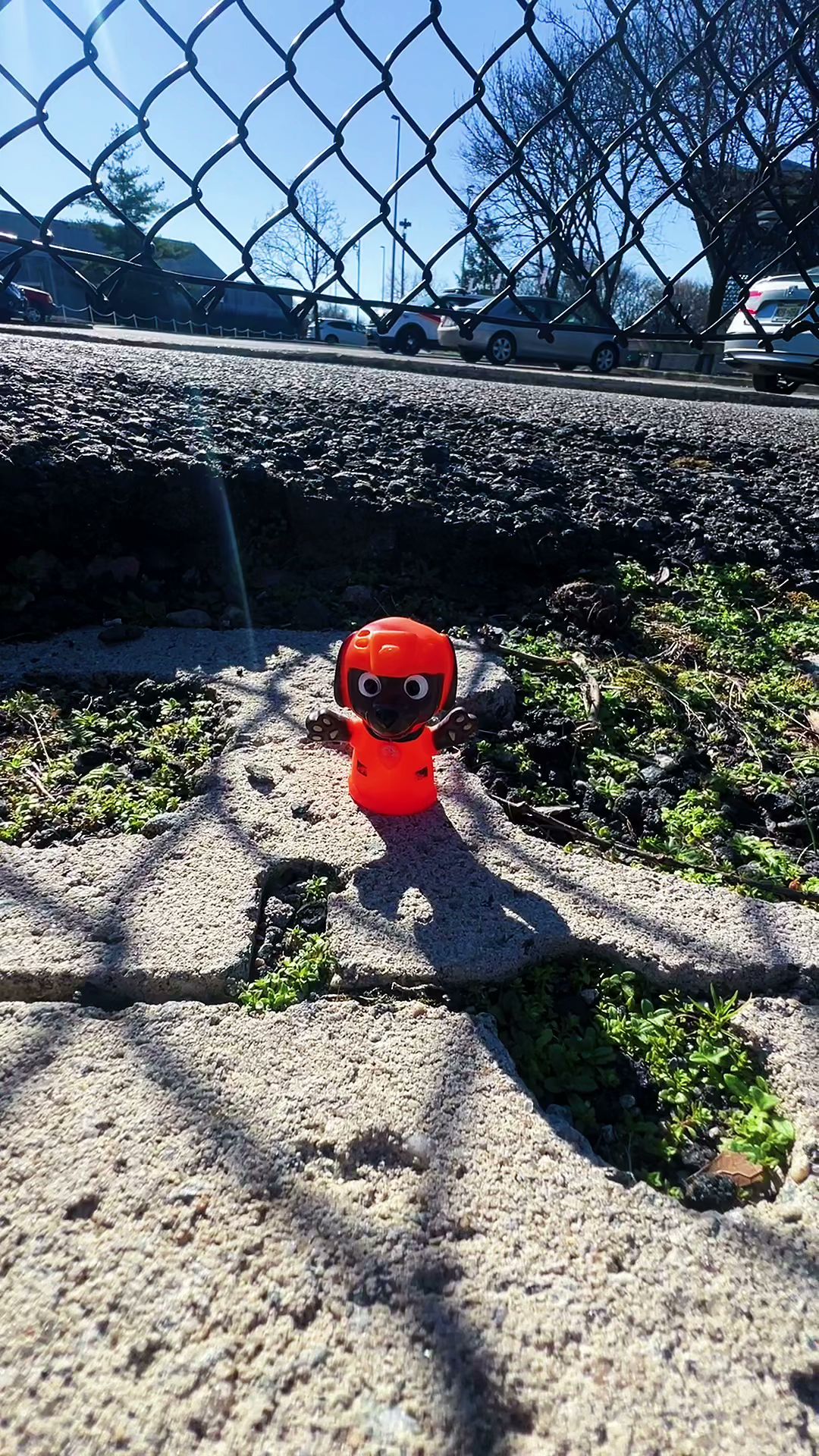 Erlc Tree Service Lodi