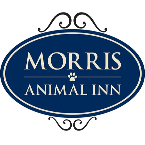 Morris Animal Inn at Montville 117 Boonton Ave, Montville New Jersey 07045