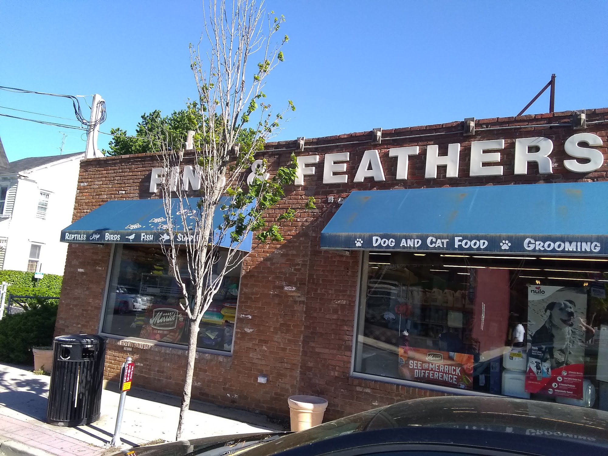 Fins & Feathers Red Bank