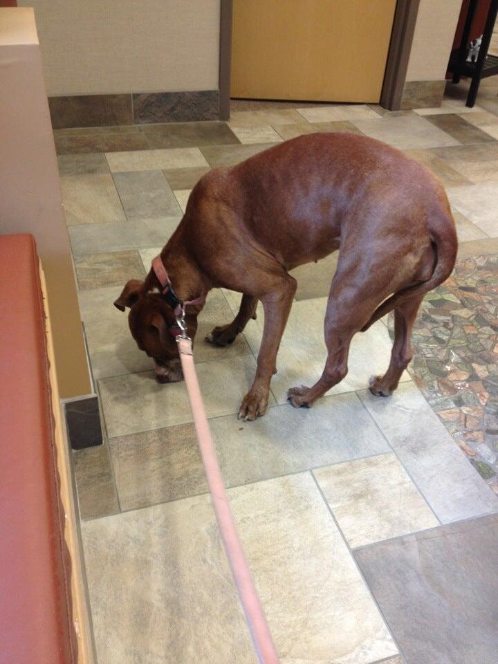 Photo credit: nextdoor