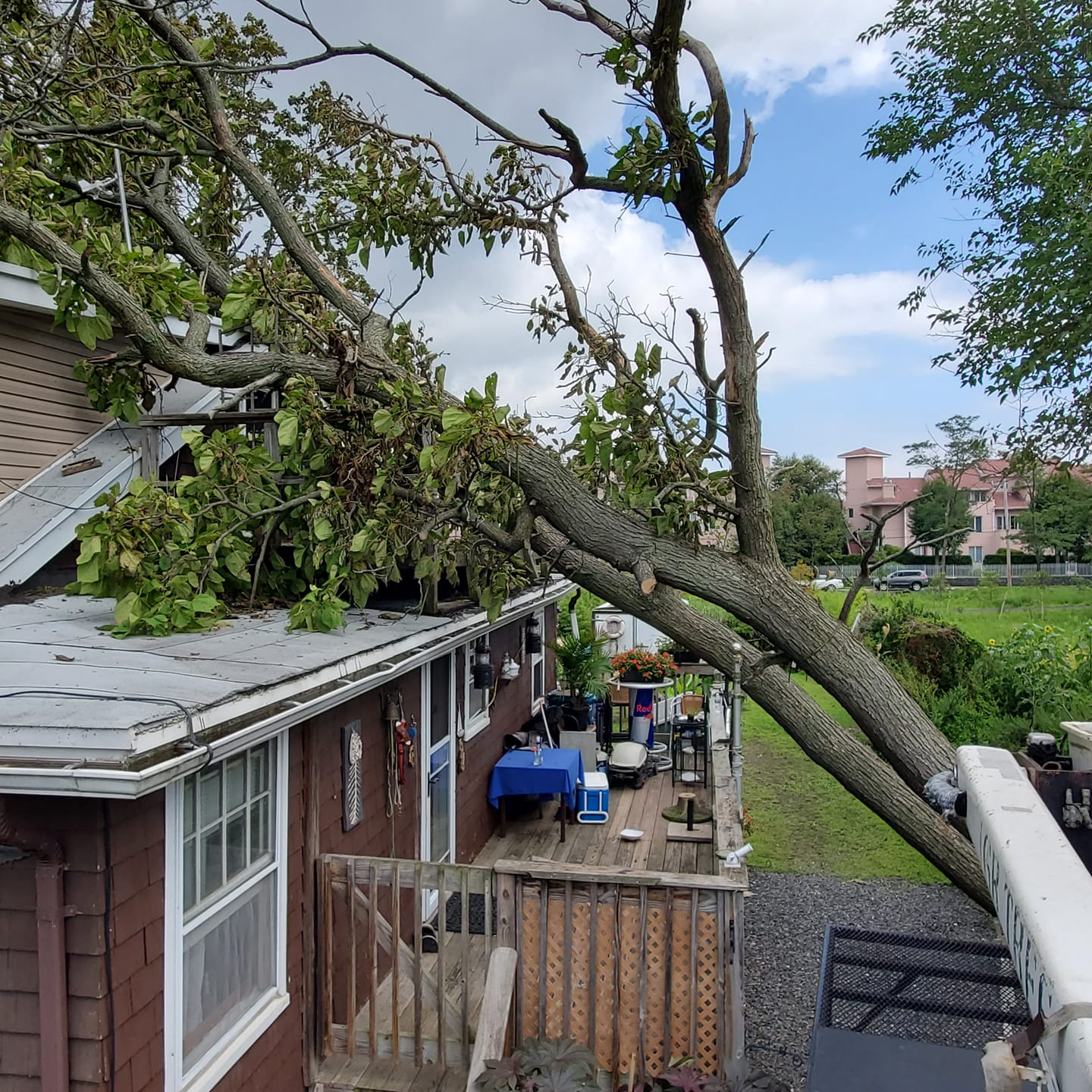 G&R Tree Removal Service, Tree Trimming, & More 232 2nd St, South Amboy New Jersey 08879