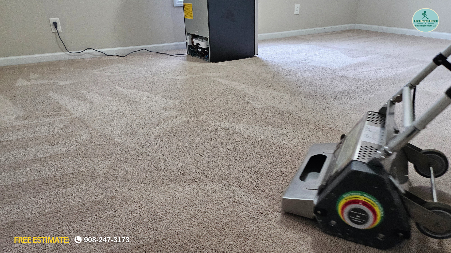 Pro Carpet Care & Cleaning services LLC - New Jersey