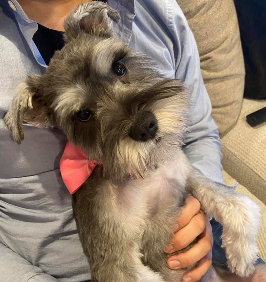 Bath Brush and Beyond Albuquerque