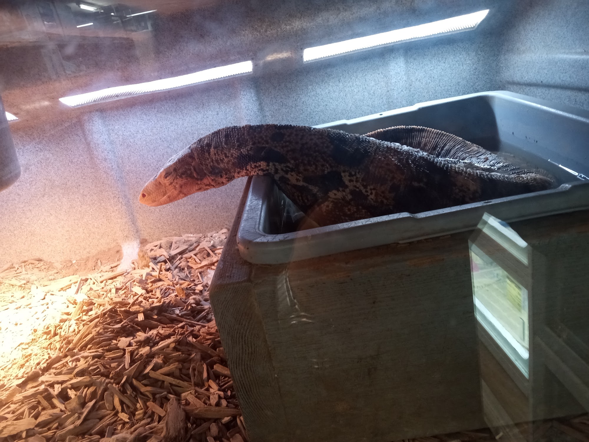 Wildlife Safari Animal Emporium, Inc. Roswell