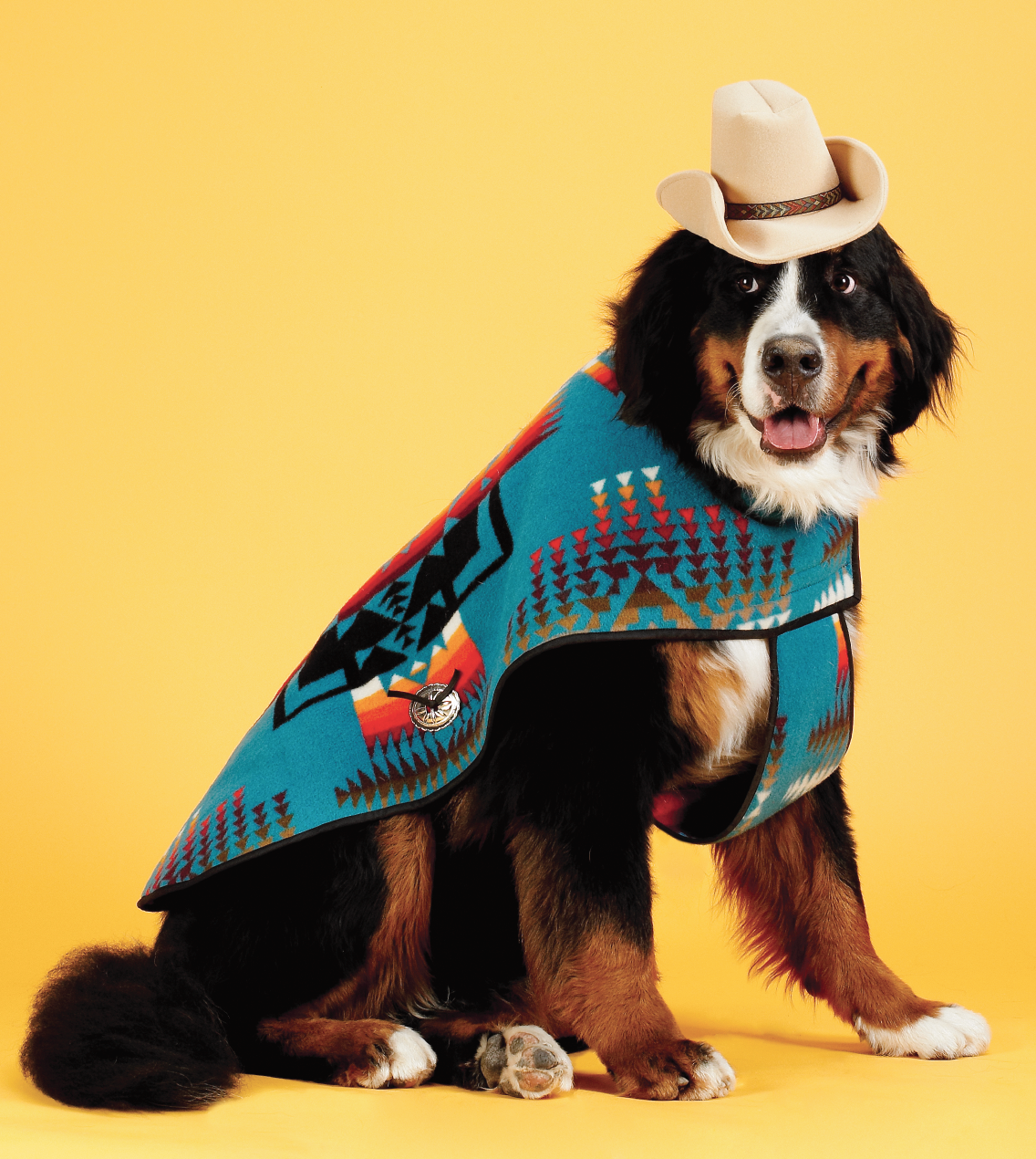 Teca Tu A Pawsworthy Pet Emporium Santa Fe